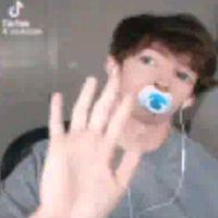 crunchypaaws_staycation