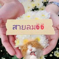 thiti.67