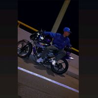 larin_z04
