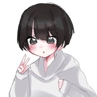 オリジナル楽曲 - のあ🐬