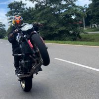 pedro.lb299