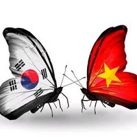nhạc nền - Trịnh Hồ Quốc Dũng 🇰🇷