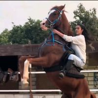 19aysegul190