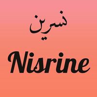 nissrinelfassi_