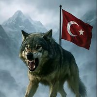 kralbozkurt16