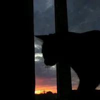 Những bản giao hưởng của cuộc đời