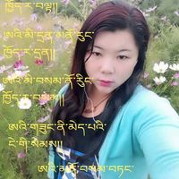 sangaylhamo278