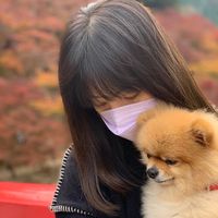 オリジナル楽曲 - テルみん