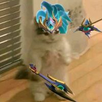 evancanon