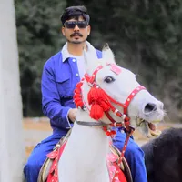 original sound - decent_ali_047