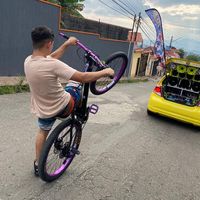 leo_stunt4
