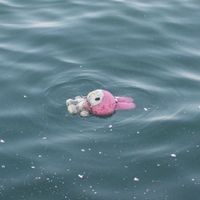 lurbchuicesea