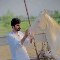 sohaibarqam702