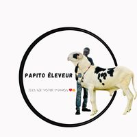 papito_eleveur_passionne