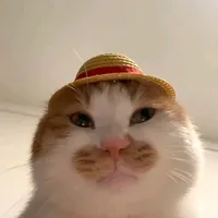 original sound - good.rolls20