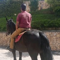 carlosjnior33