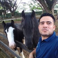 fabianrojasrenjifo