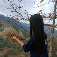 nhạc nền - nco nco.kojj
