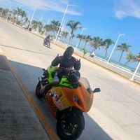 carlos.alberto.se19