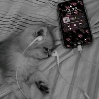 оригинальный звук