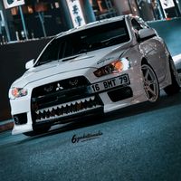 wolf_bmt