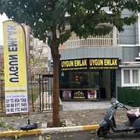 orijinal ses