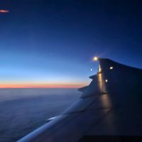 original sound - duck_preset