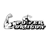 power_dragon3