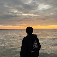suara asli - FANN