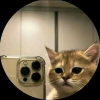 me_meoww11