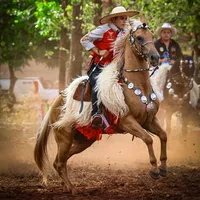 original sound - reneidelpy