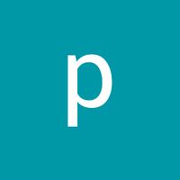 panun.nnp