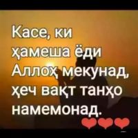 user36501611293513ti