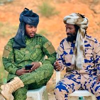 الصوت الأصلي