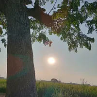 original sound - jz_mjlopez05