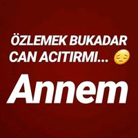 canan19833