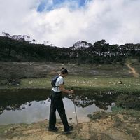 original sound - widydexplorer