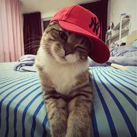 original sound - rhi