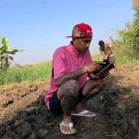 .tinnainglin969