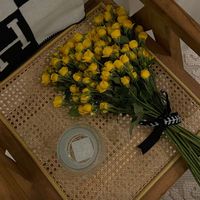 nouf_391