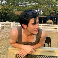 เสียงต้นฉบับ - ชิปทุกคู่อยู่เกือบทุกด้อม