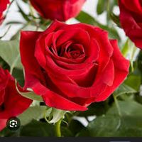 patelqueen545