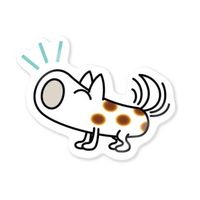 オリジナル楽曲 - せれなん