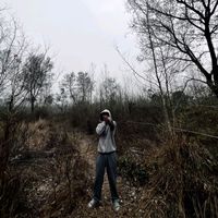original sound