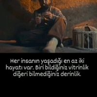 nebioglu23