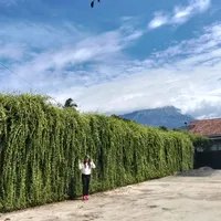 original sound - vallensia638