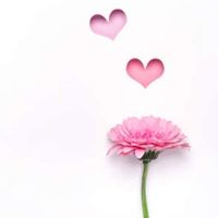 オリジナル楽曲 - 優花