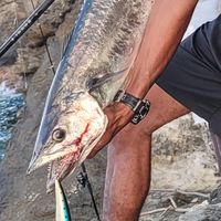 fishin_with_jay