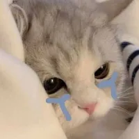 original sound - _shu21