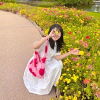 aiemesue